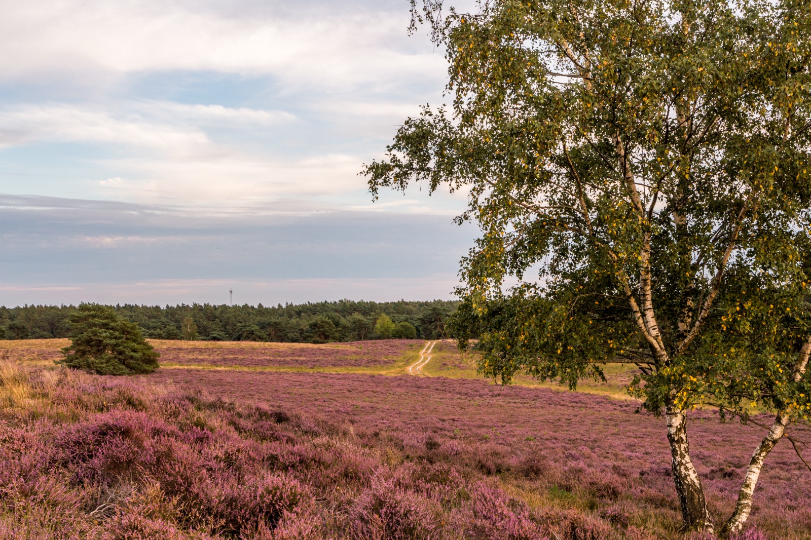 Landschaft im Herbst